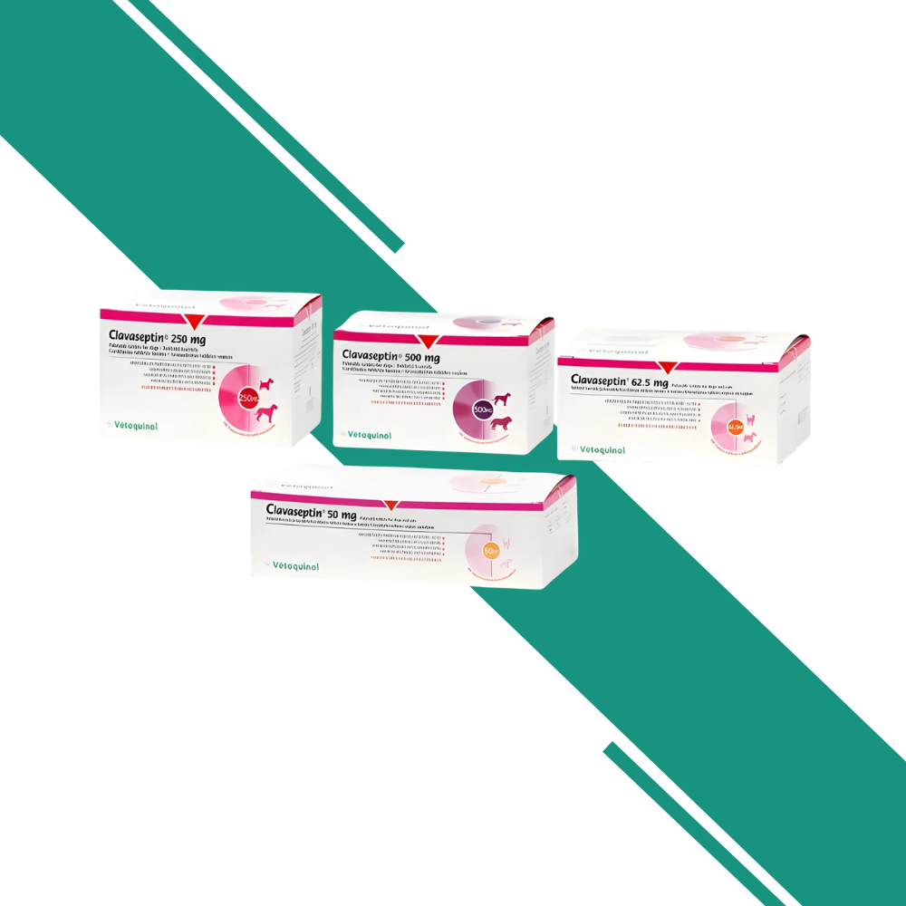 Clavaseptin Palatable Tablets for Dogs and Cats